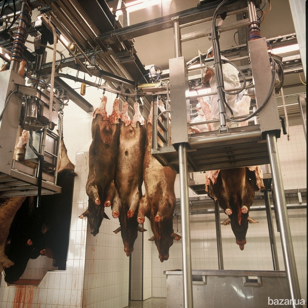 Линия по убою свиней и крс Львів - зображення 1