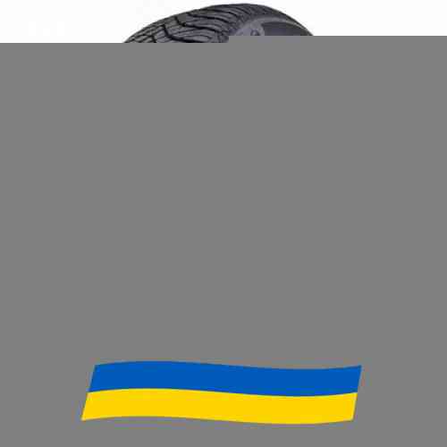235/55 R19 Goodride All Seasons Elite Z-401 105W Легкова шина Київ