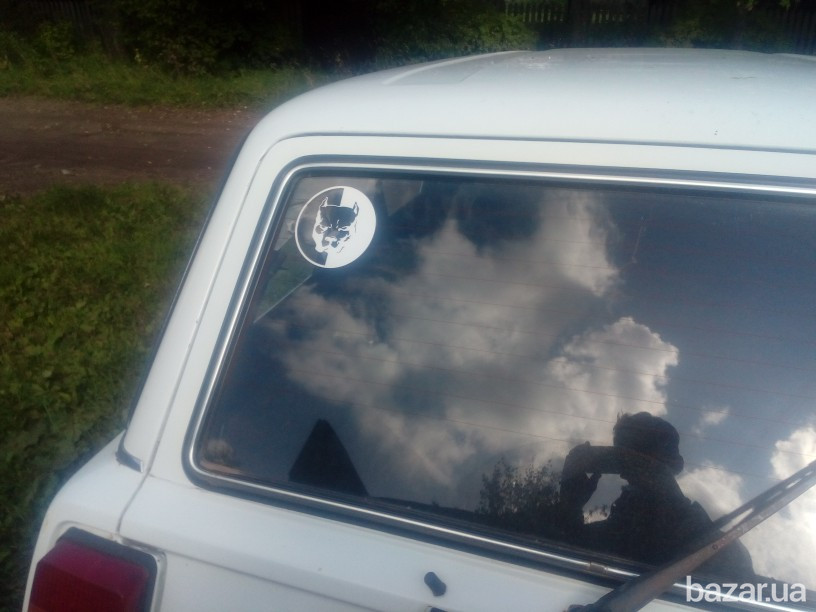 Наклейка на авто или мото Питбуль Белая светоотражающая Борисполь - изображение 5