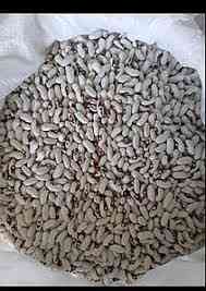 Закуповуємо квасолю по всій Україні із забезпеченням самовивозу. Кропивницкий