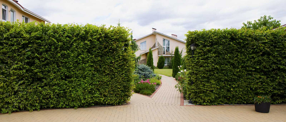 продажа 5-к дом Обуховский, Козин, 1990000 $  - изображение 5