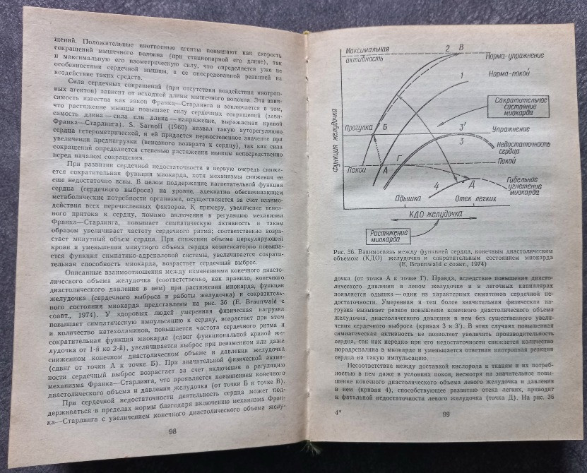 Неотложные состояния в клинике внутренних болезней. А.И. Грицюк Харьков - изображение 5