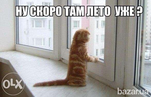 Срочный ремонт окон, дверей, ролет Киев, Харьковский, Позняки, Осокорки, без выходных Київ - зображення 1