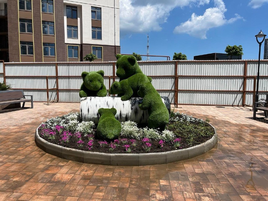 Топиарное искусство под заказ «утро в сосновом лесу» Київ - зображення 3