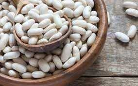 Закупка квасолі на консервування Суми - зображення 1