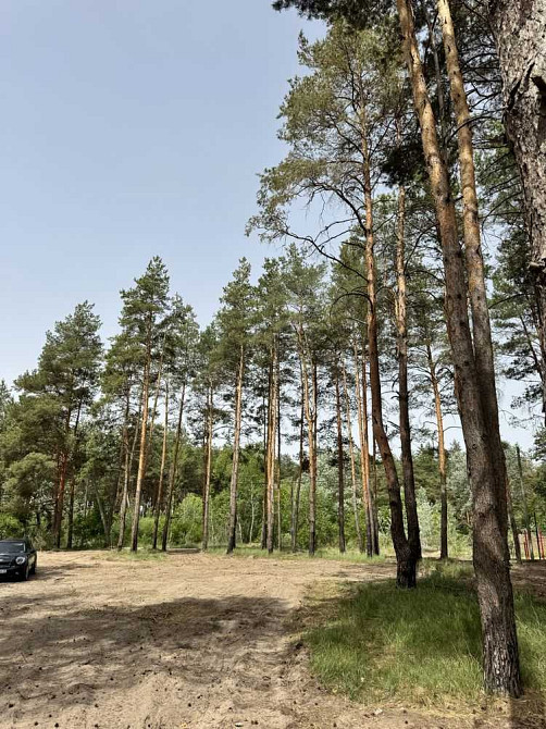 продажа участок под жилую застройку Новомосковский, Песчанка, 25000 $  - изображение 8