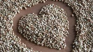 Реалізуємо гречку оптом від 5 тонн Київ - зображення 1