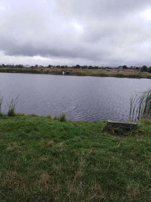 Продам будинок з великою ділянкою в с. Пилиповичі Бородянка - зображення 10