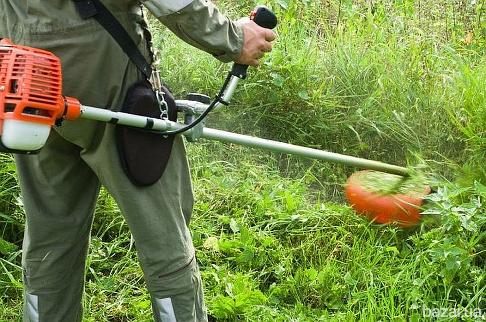 Предлагаю расчистка участков , спил дерева, вывоз мусора Одеса - зображення 1