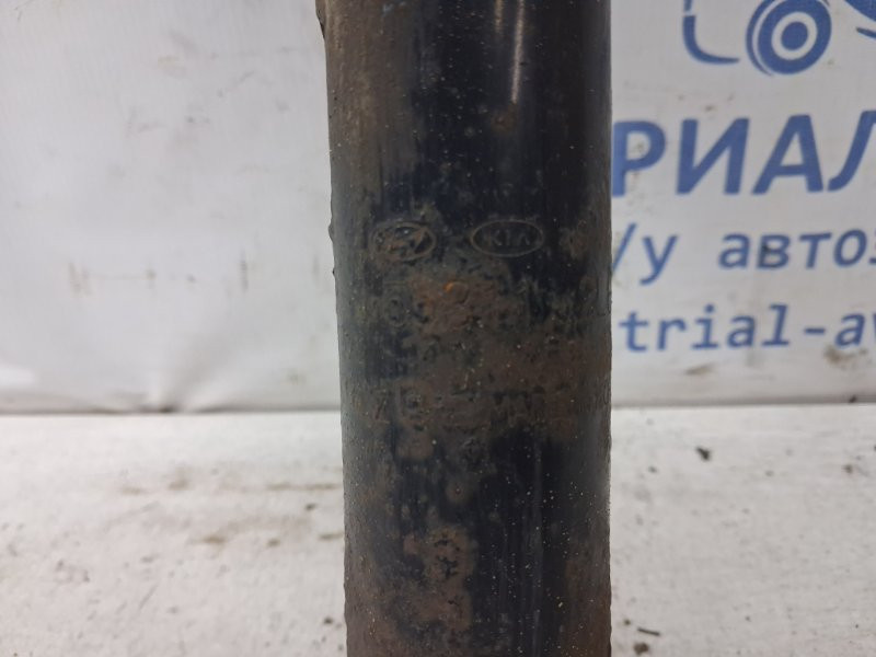 Амортизатор задний Hyundai I30 2007-2012 553112L600 (Арт. 78212) Київ - зображення 4