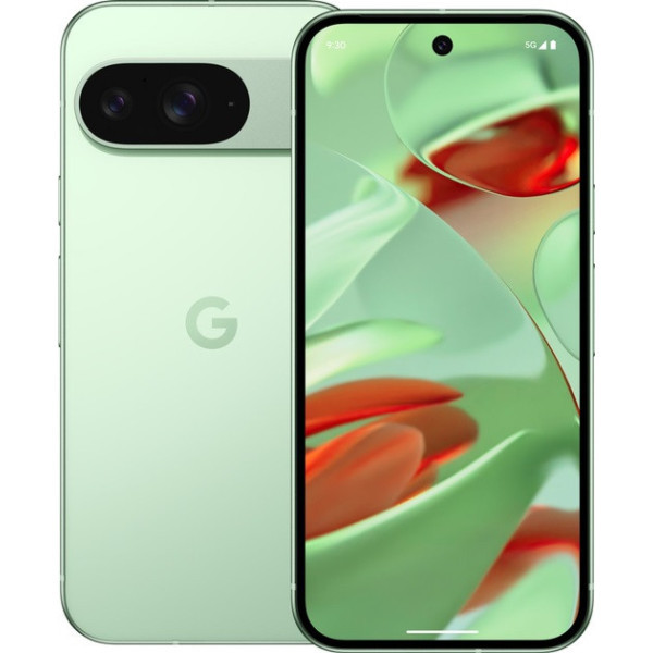 Смартфон Google Pixel 9 12/256GB Wintergreen USA (Код товару:42038) Харків - зображення 1