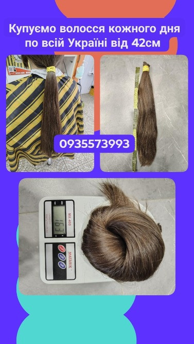 Купуємо волосся в Києві та по всій Україні від 42см -0935573993 Київ - зображення 1