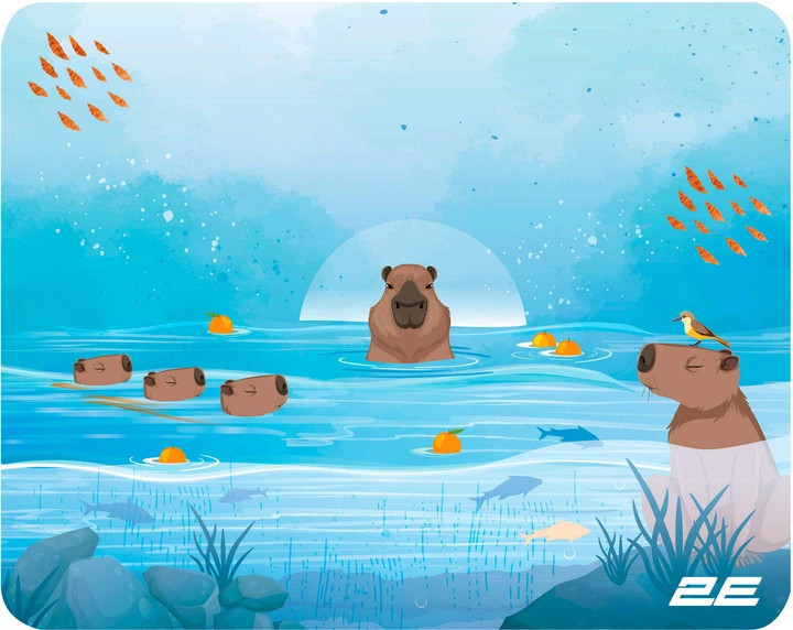 Игровая поверхность для мыши и клавиатуры 2E Capybarra S 2E-PAD-S-CAPY-BLUE 25х20 см голубая Київ - зображення 1