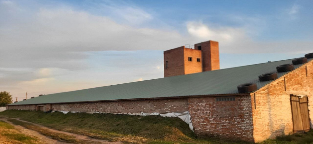 Сдам склади в оренду Полтава - изображение 7