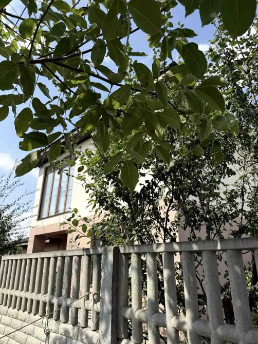продажа 5-к коттедж Киево-Святошинский, Ворзель, 84000 $  - зображення 2