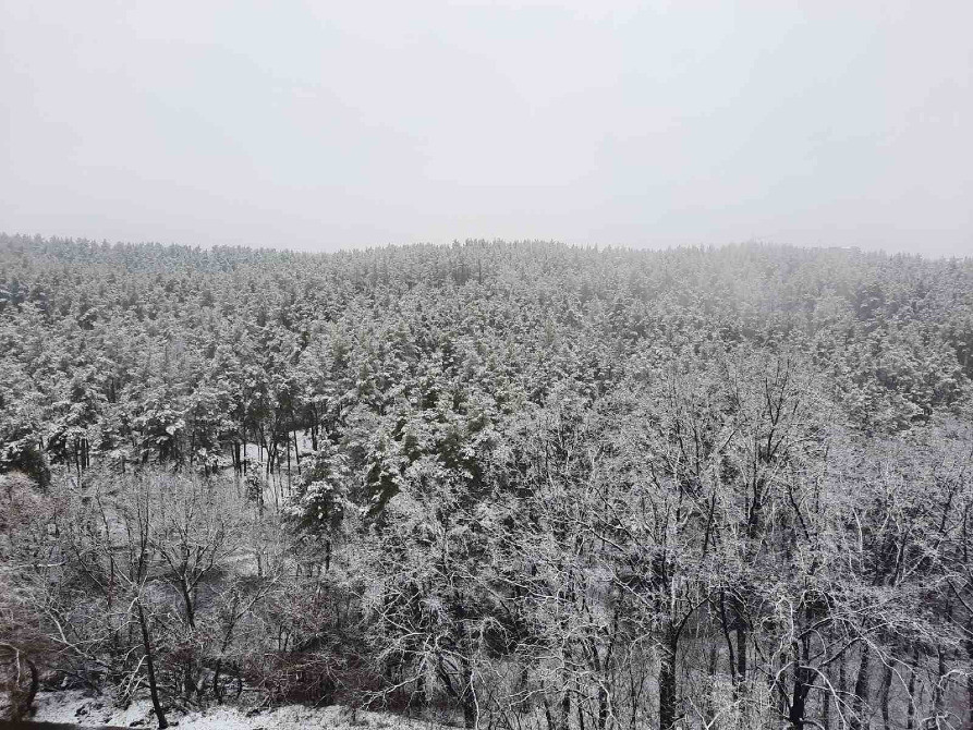 Продається 3-кім Київська обл., м. Обухів, вул.Каштанова, 15 Обухов - изображение 8