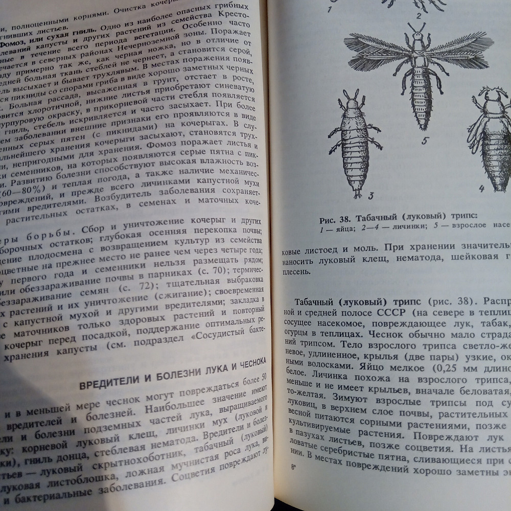 Сад без химии. Защита растений от вредителей. Львов - изображение 7