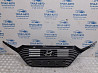 Решетка радиатора Hyundai Ioniq 2016- 86350G2100 (Арт. 80624) Київ