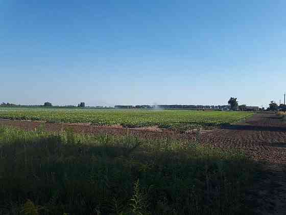 продажа земля сельскохозяйственного назначения Бориспольский, Сеньковка, 1302000 грн. 