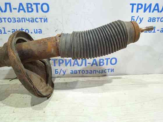 Амортизатор задний Hyundai Tucson 2004-2009 55351-2E501 (Арт. 16634) Киев