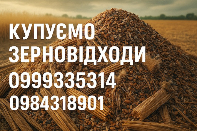 Закуповуємо некондиційну с.г. продукцію та зерновідходи Кропивницький - зображення 1