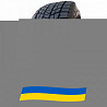 215/55 R18 Habilead IceMax RW501 95H Легкова шина Киев