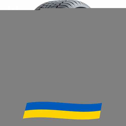 205/50 R17 General Tire Altimax Winter 3 93V Легкова шина Київ