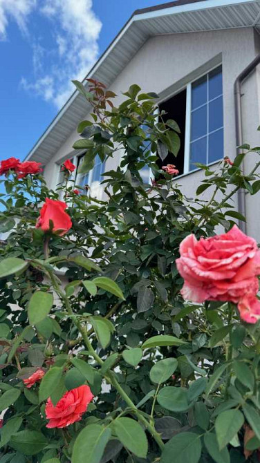 долгосрочная аренда 4-к дом Броварский, Бровары, 35000 грн./мес. Бровары - изображение 1