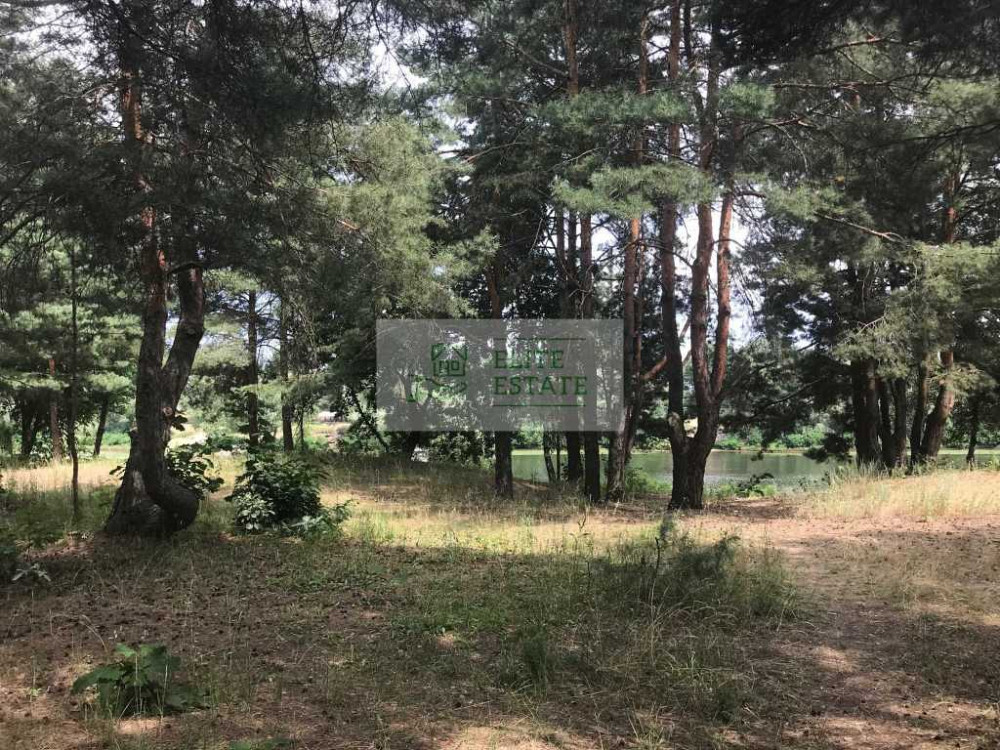 продажа земля сельскохозяйственного назначения Вышгородский, Лебедевка, 220000 $  - зображення 9