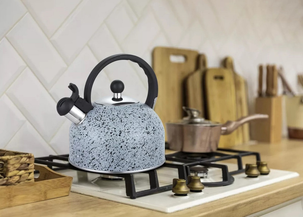 Чайник із свистком Gusto Геракл GT-1414-25 2.5 л Киев - изображение 1