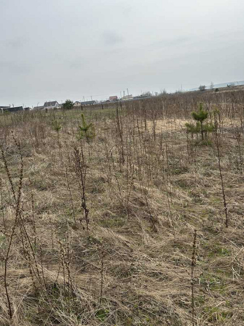 продажа участок под жилую застройку Броварский, Рожевка, 16000 $  - изображение 9