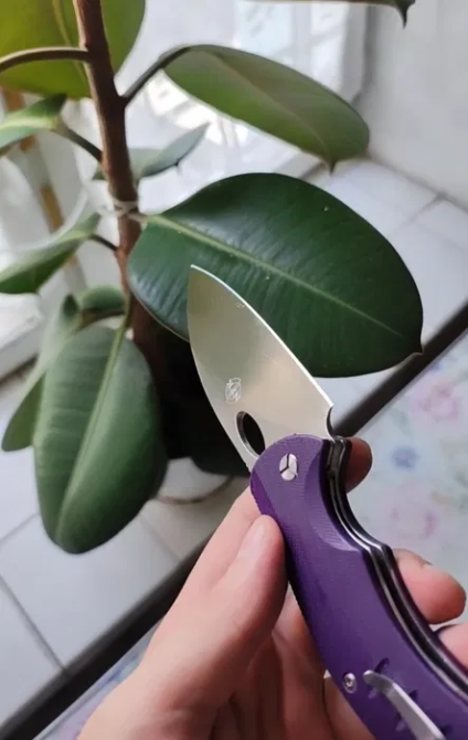 Ручне заточування ножів (кухонні, складані, мисливські) Київ - зображення 5