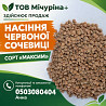 Насіння червоної сочевиці сорту «Максим» для посіву Одеса