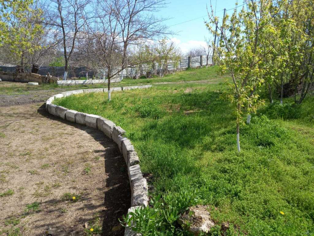 продажа 3-к дом Беляевский, Нерубайское, 35000 $  - изображение 6