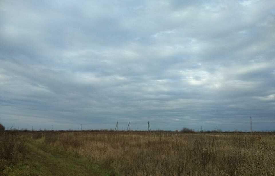 Земельна ділянка,0.9997 га,Закарпатська обл.,Мукачівський р-н, Павшино  - зображення 4