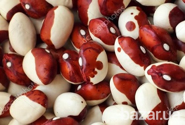 Квасоля продам з доставкою Запоріжжя - зображення 1