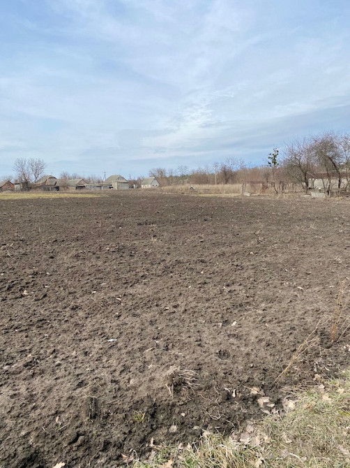 Продам земельну ділянку сел. Шаровка Богодухівський район Богодухов - изображение 3