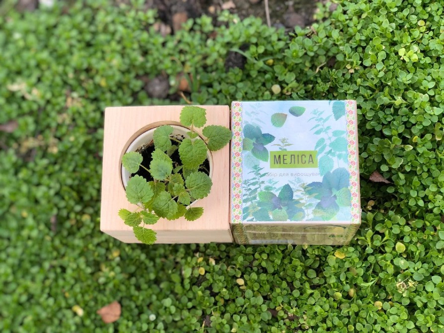 Корпоративні подарунки для IT компаній. Київ - зображення 4