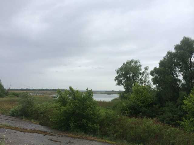 продажа участок под жилую застройку Бориспольский, Процев, 192000 $  - зображення 2