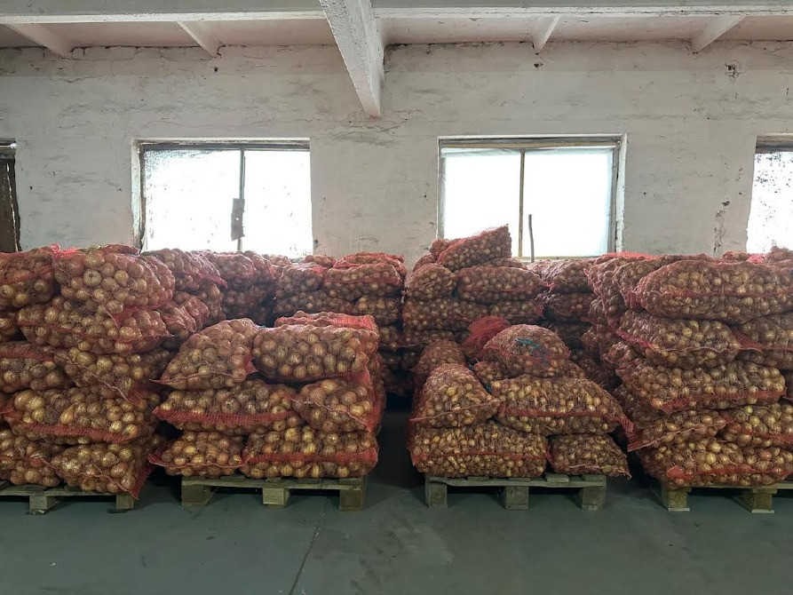 Свіжа цибуля власного врожаю Житомир - изображение 3