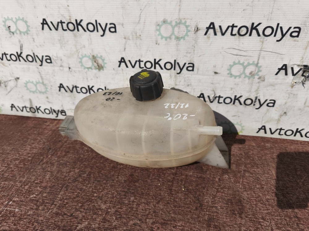 Бачок расширительный Nissan Primastar 2001-2013 (7700312900) Ковель - зображення 1