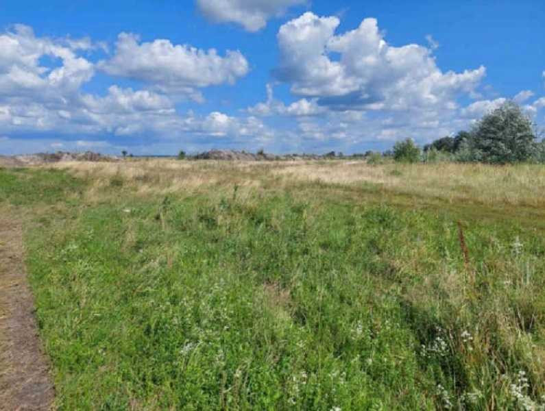 продажа земля сельскохозяйственного назначения Броварский, Зазимье, 46740000 грн.  - изображение 5