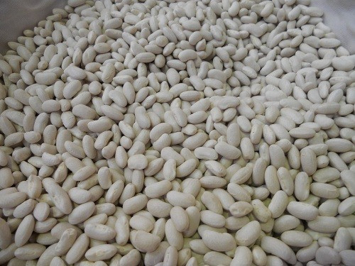 Куплю білу квасолю на переробку. Від 5 тонн. Чернівці - зображення 1