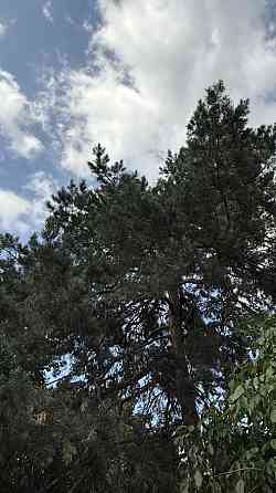 продажа участок под жилую застройку Обуховский, Плюты, 96000 $ 