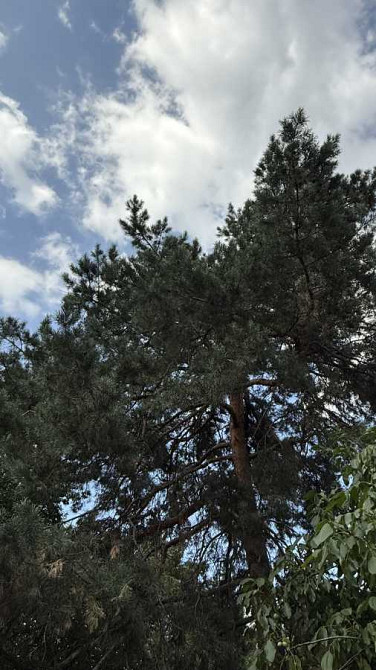 продажа участок под жилую застройку Обуховский, Плюты, 96000 $  - зображення 6