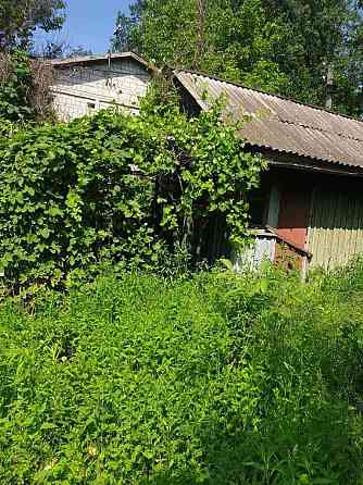 продажа земля сельскохозяйственного назначения Белоцерковский, Белая Церковь, 9000 $ Біла Церква