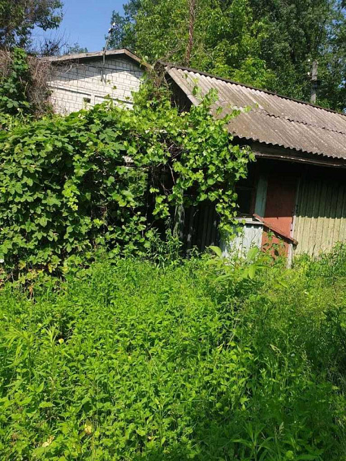 продажа земля сельскохозяйственного назначения Белоцерковский, Белая Церковь, 9000 $ Белая Церковь - изображение 4