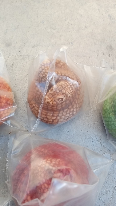 Подарок НОВЫЙ ГОД СУВЕНИР НА ВЕСЬ КЛАСС ,ЗМЕЙКА, Киев - изображение 1