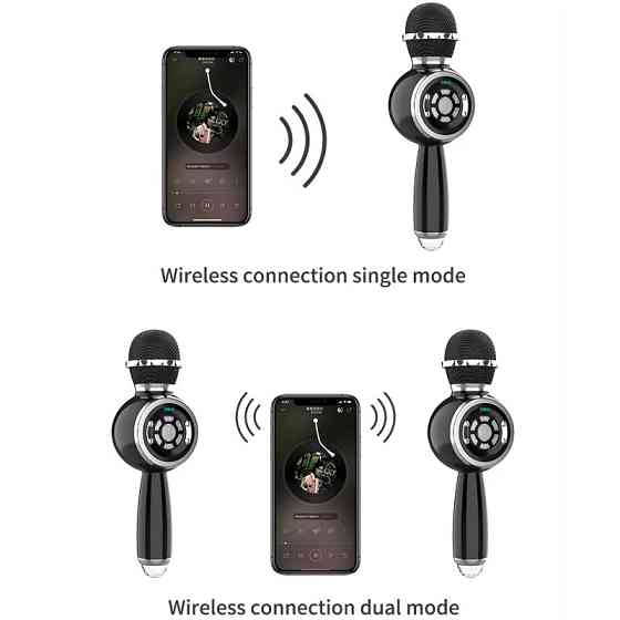 Караоке Микрофон-колонка DS810 Херсон