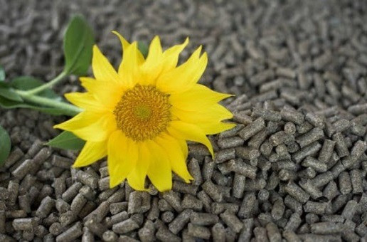 Оптовые продажи пеллет и брикетов из лузги Киев - изображение 1